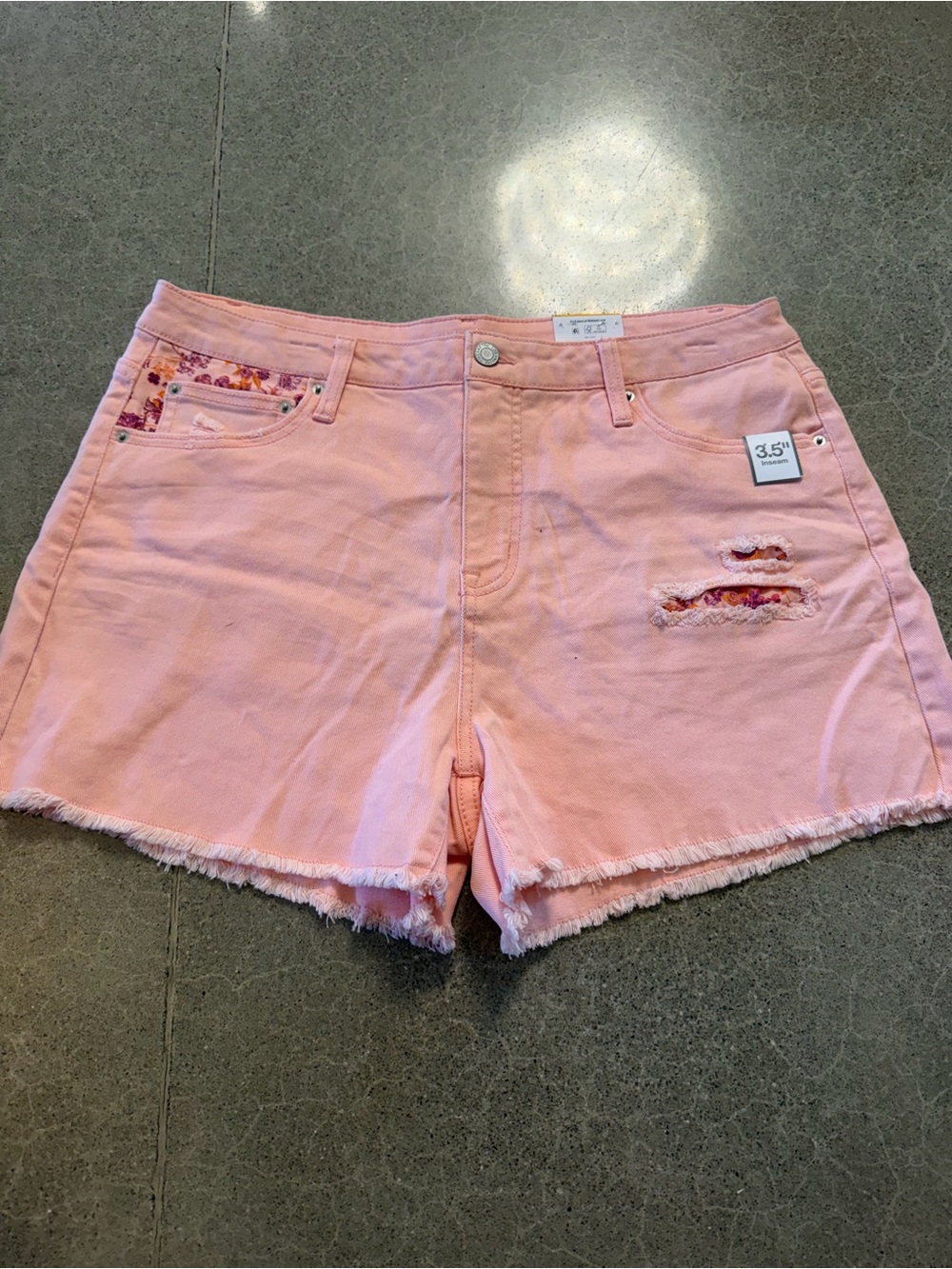 Time and Tru Frayed Hem Denim Shorts